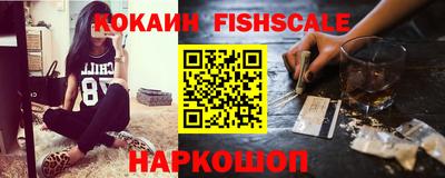 крисы Камышлов