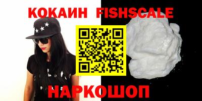 крисы Камышлов