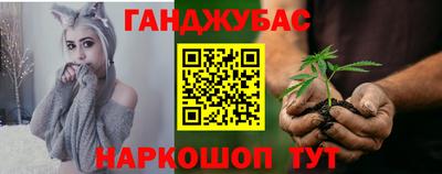 крисы Камышлов