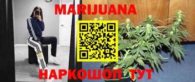 крисы Камышлов