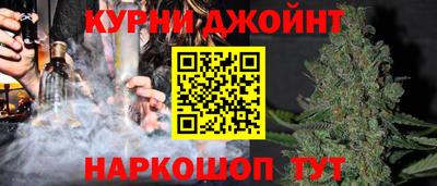 крисы Камышлов