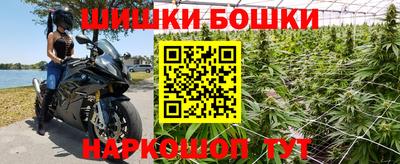 крисы Камышлов