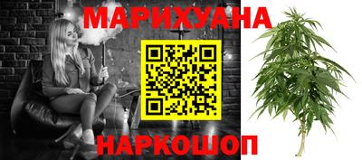 крисы Камышлов