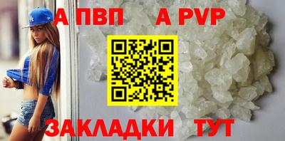 крисы Камышлов
