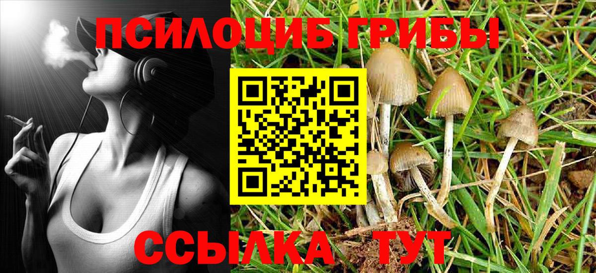 Галлюциногенные грибы мицелий  Вход с VPN  Галлюциногенные грибы Cubensis  Глазов 