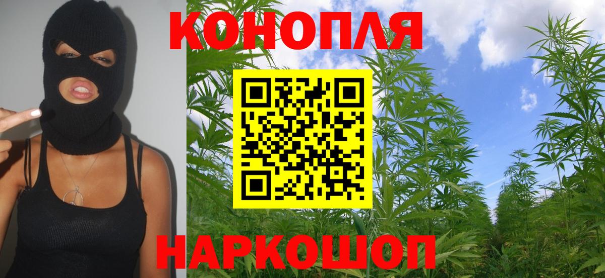 Канабис план Глазов